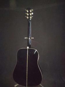 Wholesale Custom guitar factory Top Quality Solid Spruce Top Rosewood Back &amp; Sides Acoustic PS10E guitar from china suppliers