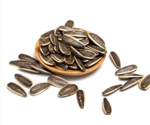 Wholesale Competitive Price Hot Sales Roasted Sunflower Seeds Customized Packaging Dried Flowers Raw Sunflower Oil China Eat 5 Ton 190 361 from china suppliers