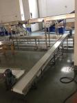 Stainless Steel Belt Conveyor for food