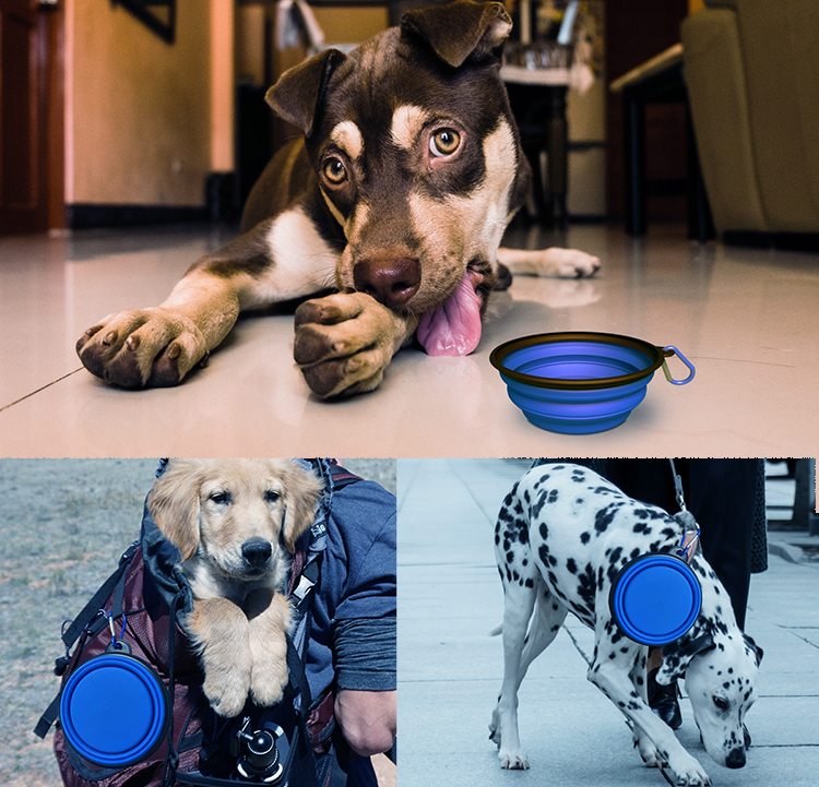 Foldable Travel Pet Water Feeding Bowl Feeder Type Cups Pails Macaron Color Silicone Dog