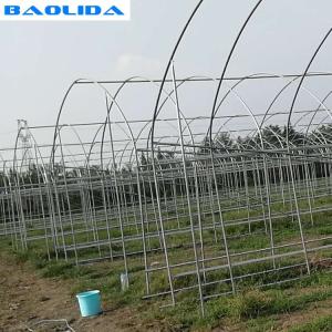 Wholesale Galvanized Steel Frame Single Span PE Film Greenhouse For Flower Plant from china suppliers