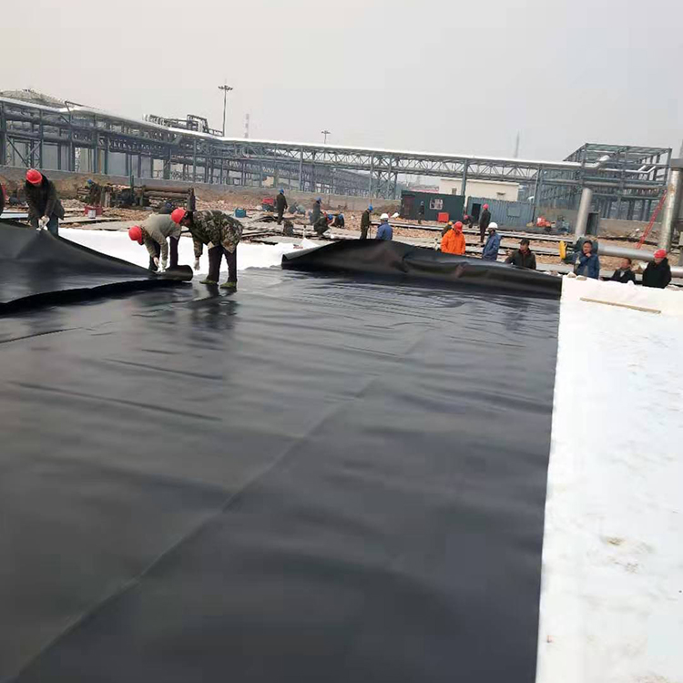 Polyethylene Geomembrane Black Smooth HDPE Aquaculture Geomembrane Liner