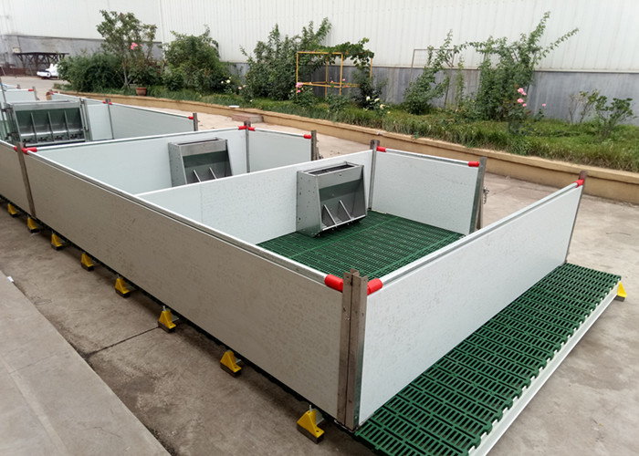 Customized Size Pig Farm Equipment Farrowing Crate For Sow / Piglet High Performance