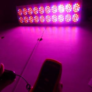 Wholesale 38% increase in production upon using led grow light from china suppliers