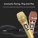 UHF Professional Dual KTV Karaoke Professional wireless microphone