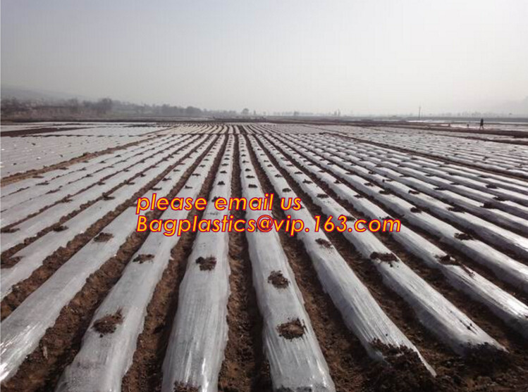 cheap and durable plastic colored anti mosquito netting/window insect screen,Industrial Agricultural Greenhouses use 2m