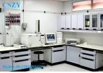 High Quality Laboratory Furniture Center Lab Bench for Physics Science Biology