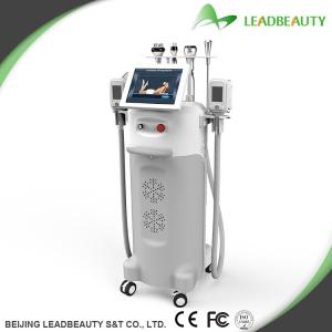Wholesale Multifunction cryolipolysis slimming fat freezing cryolipolysis slimming machine from china suppliers