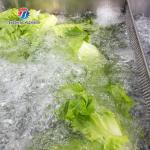 185KG 2.6KW Ozone disinfection vegetable washing machine Commercial units school