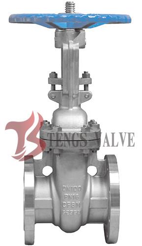 Din Stainless Steel Rising Stem Gate Valve Flanged A351-CF8M Metal Seat With