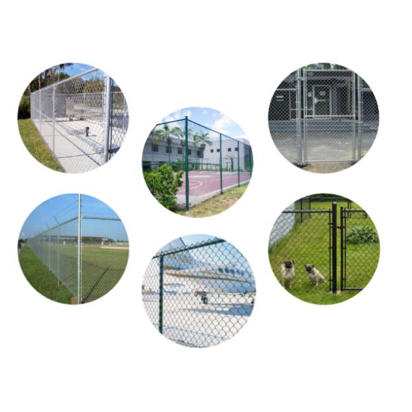 Koi Pond Chain Link Fence Bird Guard