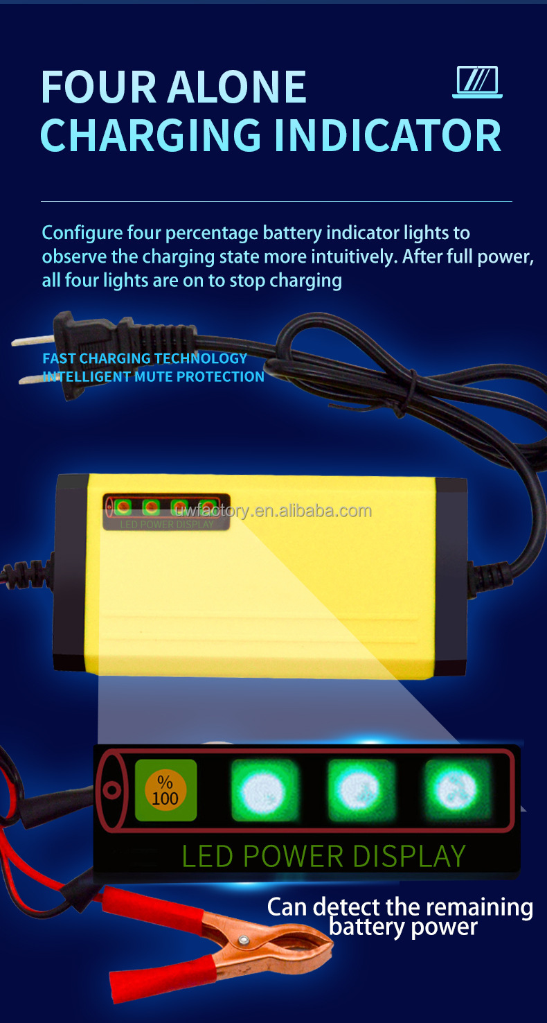 Private Mold 12V Pulse Repair Lead Acid Battery Charger with Fast Charging Speed and Temperature Control Compensation