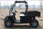 Gas Utility Vehicles Side By Side 450cc Water Cool, Overhead Camshaft, EFI