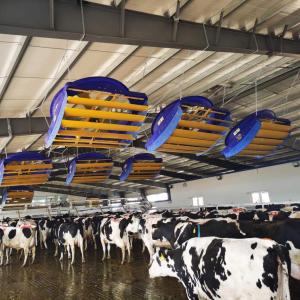 Wholesale 72 Inch Ventilation Cooling Fan For Cow / Cattle Calf Calve House / Dairy Farm / Shed from china suppliers