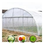 High Quality Economy Single Span Plastic Film Grow Tent Vegetable Greenhouse