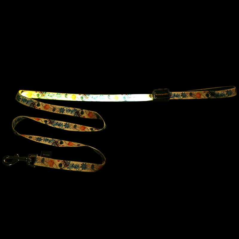 Led Luminating Pet Traction Rope Rechargeable Dog Harness Leash