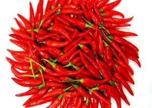 Wholesale New Crop Stemless Japanese Dried Birds Eye Chilli Paprika A Grade from china suppliers