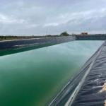 UV Protection Geomembrane Sheet 0.5mm 0.75mm 1mm Pond Liner in Black White Green