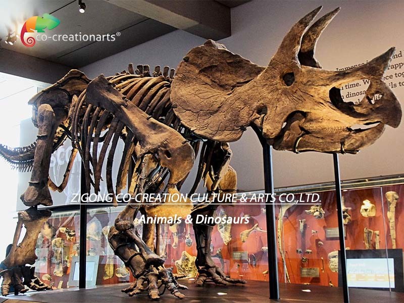 Road Decoration Dinosaur Triceratops Skeleton