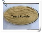 Feed Additive Crude Protein 45% Dry Yeast Powder For Cow