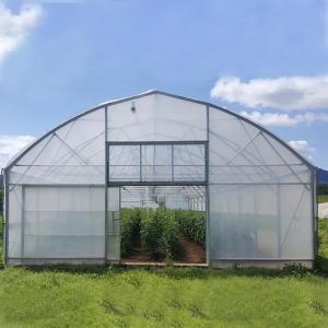 Wholesale Tropical Film Plastic Poly Tunnel Agricultural Greenhouses Single-span For Tomato from china suppliers