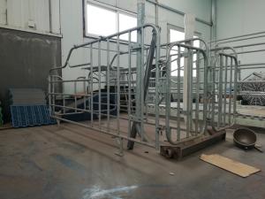 Wholesale Durable Free Stall Farrowing Pens Swine Equipment With Thermal Box from china suppliers