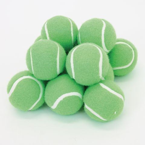 dog toy ball