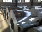 High Quality Hot Dipped Galvanized Steel Coils for Industrial Use