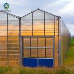 3.0m 6.0m Polycarbonate Aluminium Greenhouse UV Protection