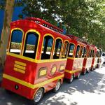 Indoor Kiddie Train Ride High Power Animal Shapes AC Motor Power 3KW