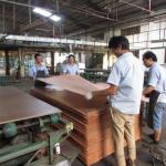 High-End Engineered Wood Veneer Silver Arrow SI.AW-X8133 Three-Dimensional Light