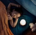 Eggshell Night Light Rechargeable Silicone Household Items
