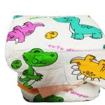 Anti-Leak Adult Panty Diaper Adjustable 3D Leak Prevention Channel Free Samples