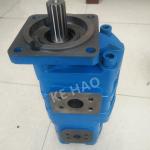 CBGJ Double Pump Square cover Spline Blue Compact Original Gear Pump For