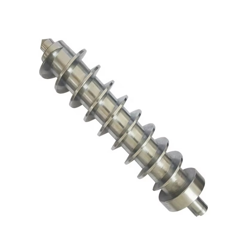 2025 OEM Small Mini Long Stainless Machining Feed Screw Steel Auger Screw