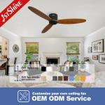 Commercial European Style Electric Ceiling Fan with Remote Control 1stshine Boom
