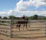 6 Bar Hdg Cattle Yard Panels Round Tube / Square Tube