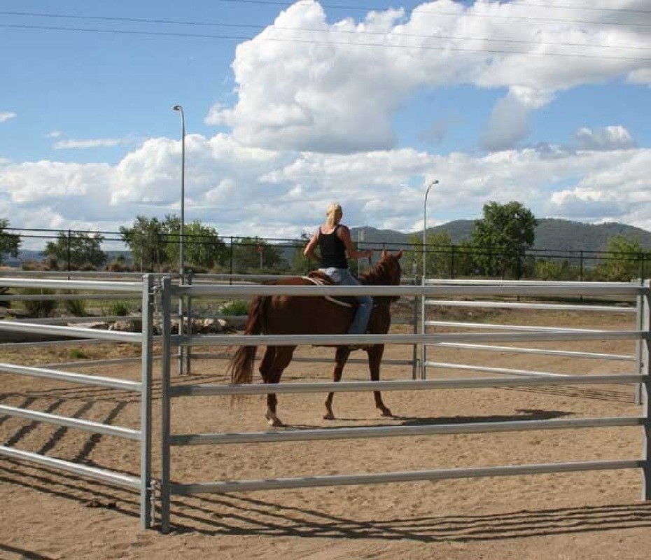 Steel 10ft Tall Horse Round Yard Panels With Powder Coated
