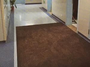 Wholesale Hotel Entrance Front Door Mat Indoor Grease proof synthetic rubber Backing from china suppliers