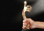 Resin Material Trophies For School Awards , Thumb Shape Award Cups Trophies