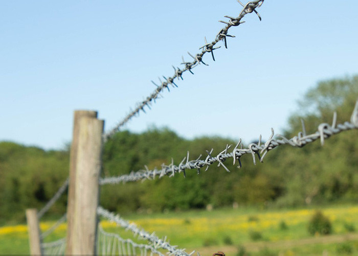 Garden Anti-Theft Single Strand Galvanized Steel Barbed Wire Fence