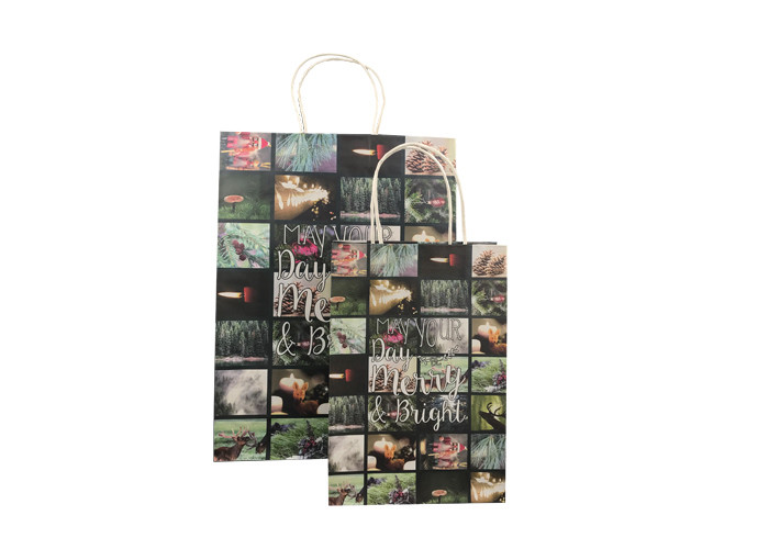 Decorative Luxury Christmas Packaging , Fancy Printed Paper Shopping Bags