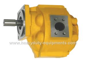 Wholesale Hydraulic oil pump 1010000019 for Zoomlion crane with warranty from china suppliers