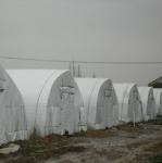 Agriculture Hot Dip Galvanized Steel Framework Panda Film Greenhouse Mushroom