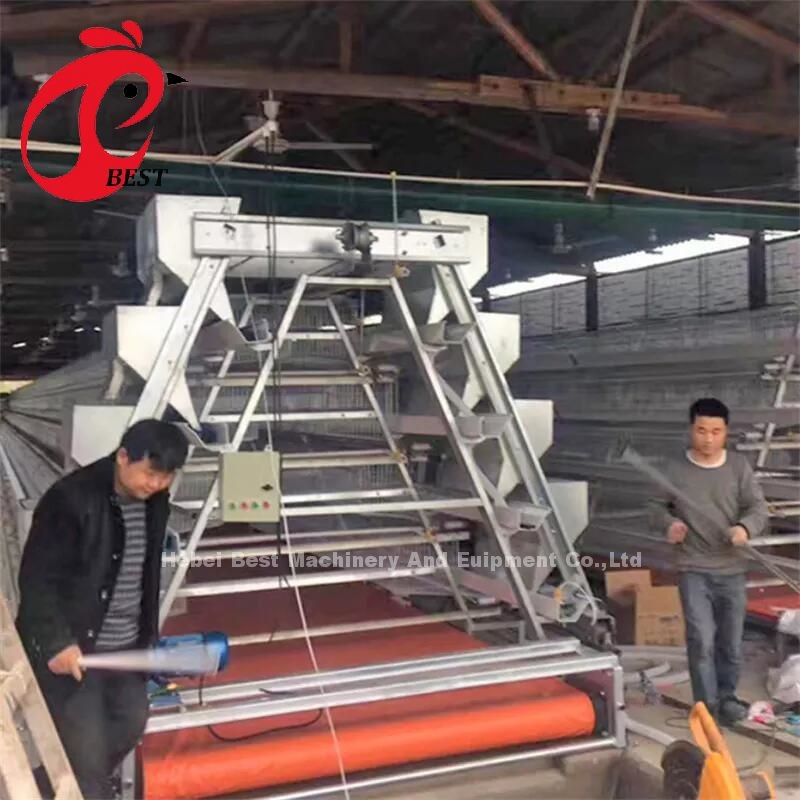 Fully Automatic 80-100kg Heavy Duty Layer Poultry Cage System With Sliding Door Rose