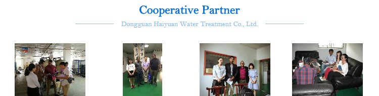 3000LPH Containier RO System Containerized Water Treatment Plant