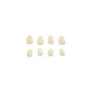 Wholesale Orthodontic FDA 3D Printed Removable Tooth Crown Polishing Porcelain Temporary Teeth from china suppliers