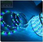 Hot sale 5050 smd 60LED/m blue strip flexible led ribbon 110V AC LED strip