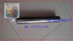 STAINLESS STEEL FILTER CANDLE / LATERAL SCREENS