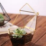 Pentagon Shaped Jewelry Glass Display Case Air Plant Terrarium Planter